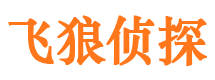 龙凤飞狼私家侦探公司